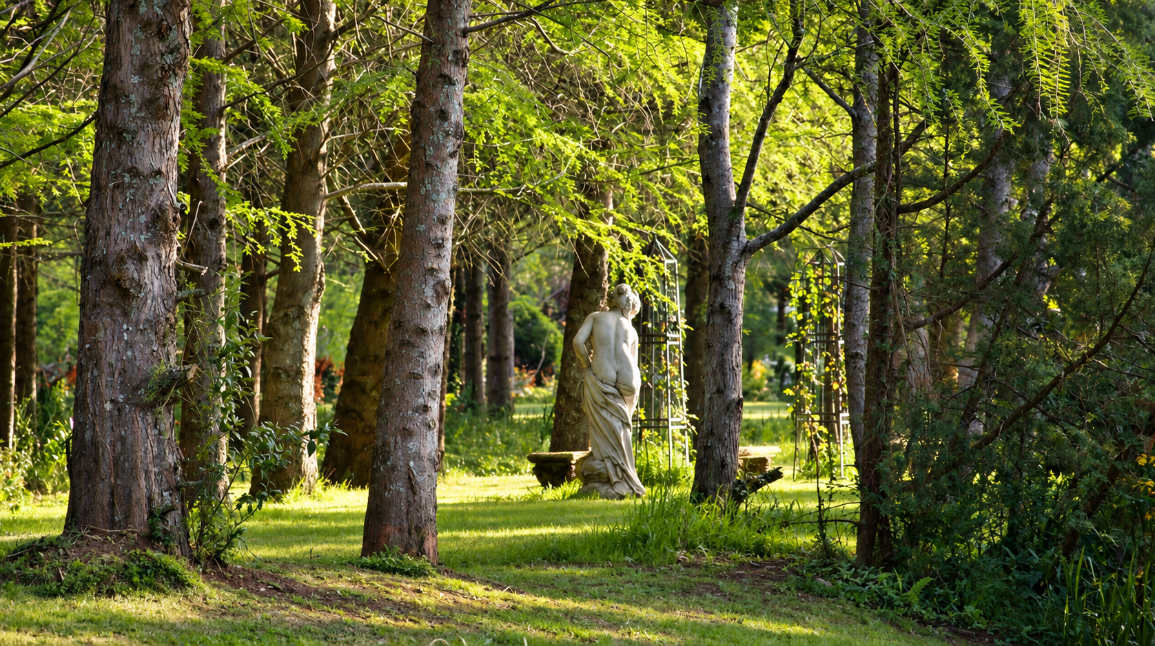 Árboles y jardines de Isla El Descanso